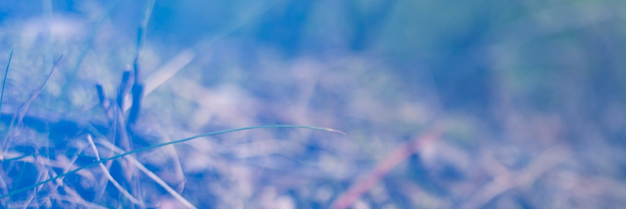 Ambient Indigo banner