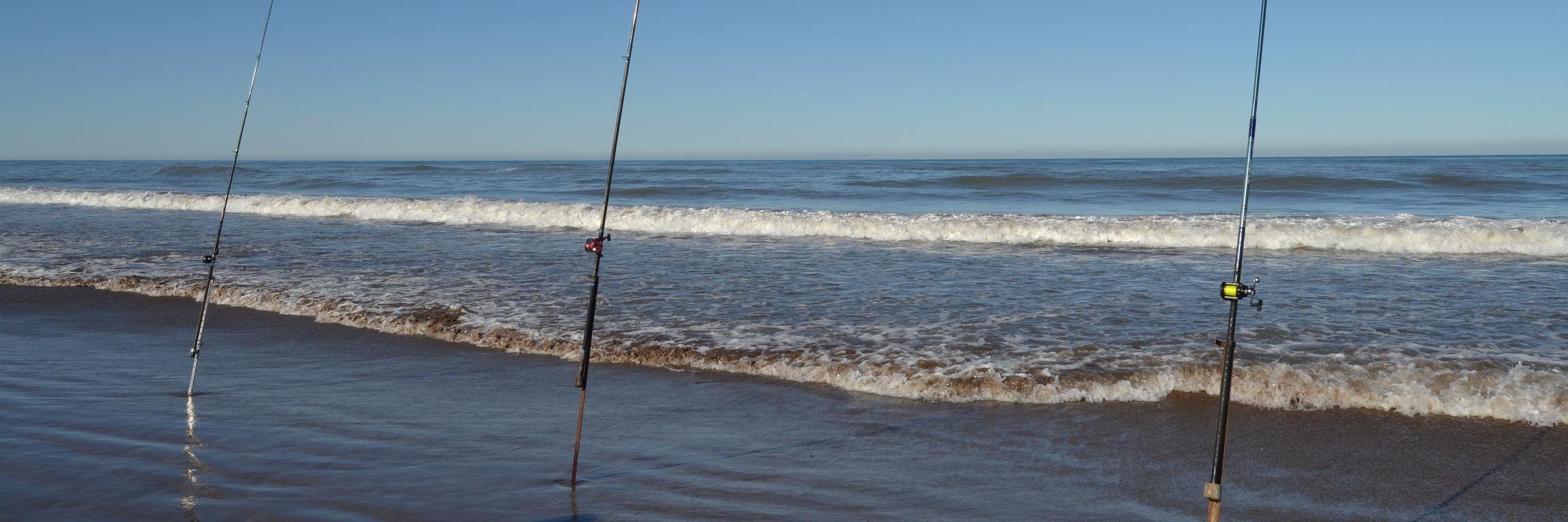 VideoPesca's profile banner image