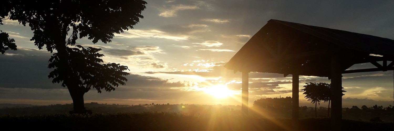 SirDKW's profile banner image