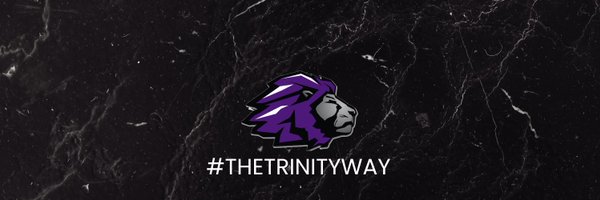 TCSLions_Hoops Profile Banner