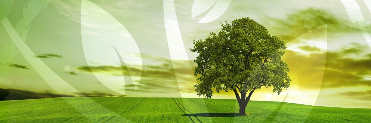 Sacred Life Hospice banner