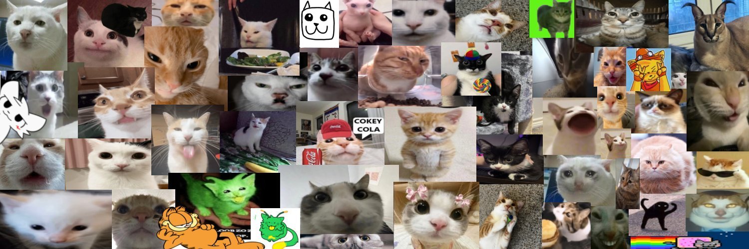 Daily Cats's banner