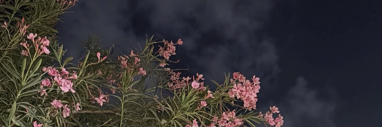 مازن..🤍 banner