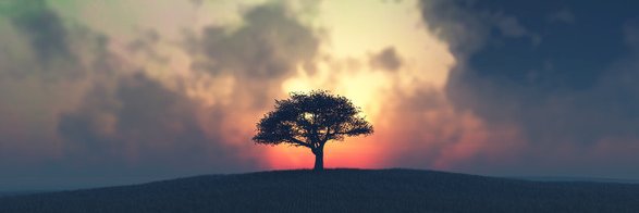 Winter_Chilll's profile banner image