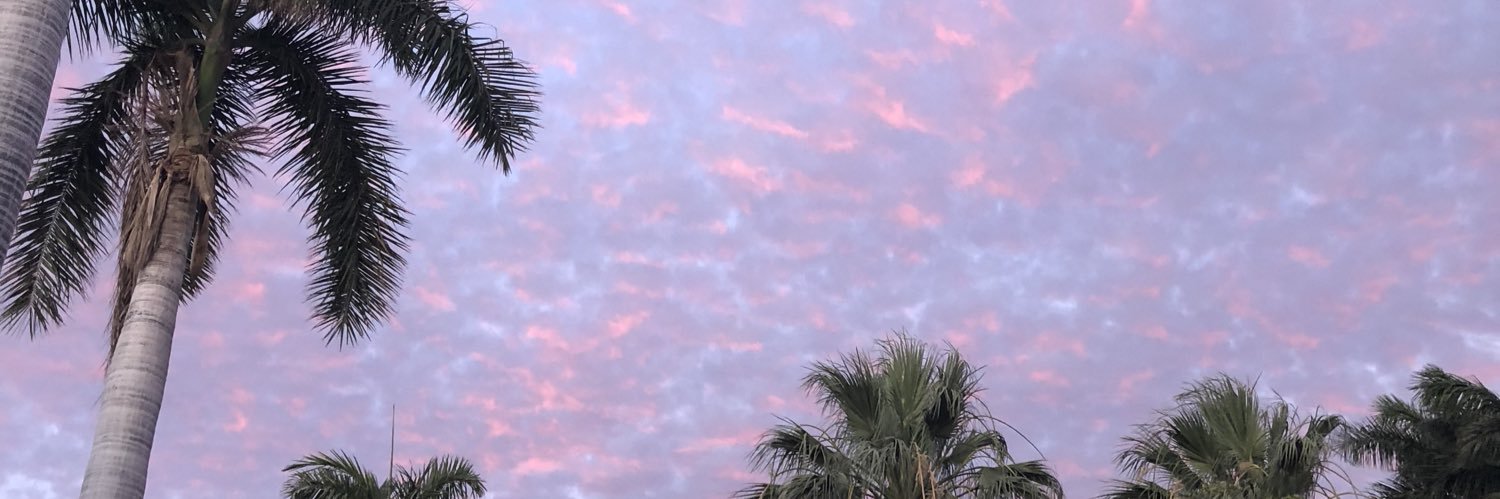 malenaibarra's profile banner image