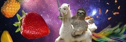 𝒪ᵇᵛⁱᵃᵐᵉⁿᵗᵉ ℐᵗ'ˢ ℰᵐᵐʸ ¡! banner