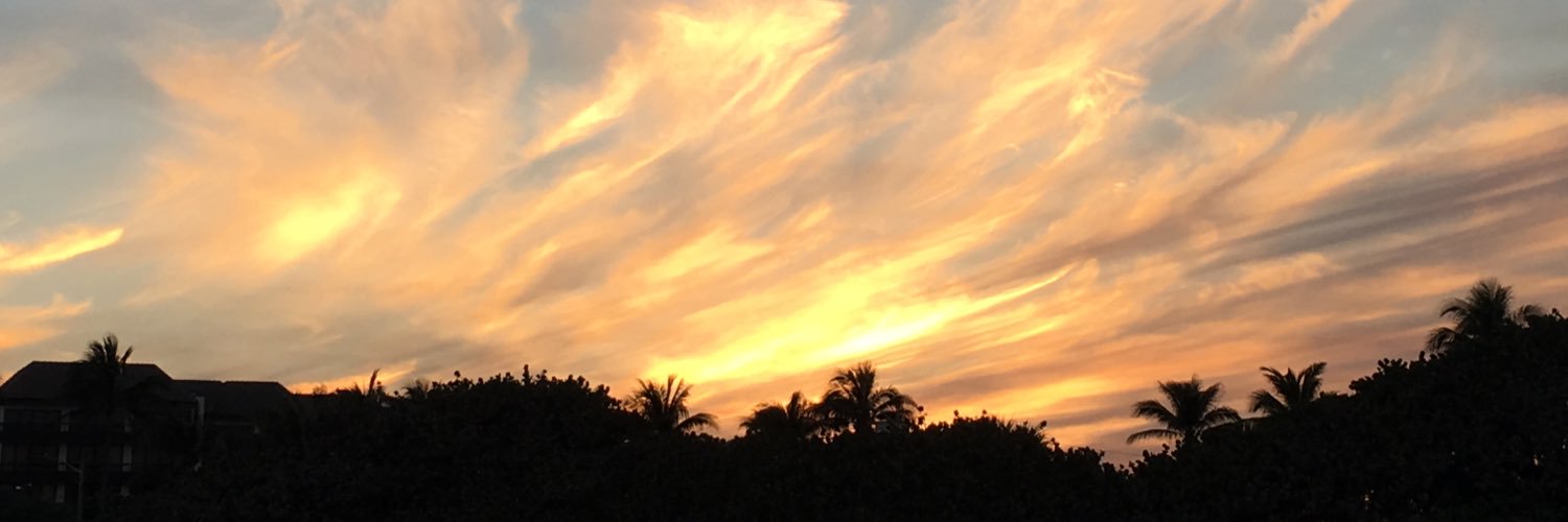 Renee_M_RN's profile banner image