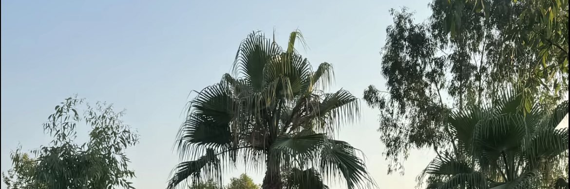 lpqqiy's profile banner image