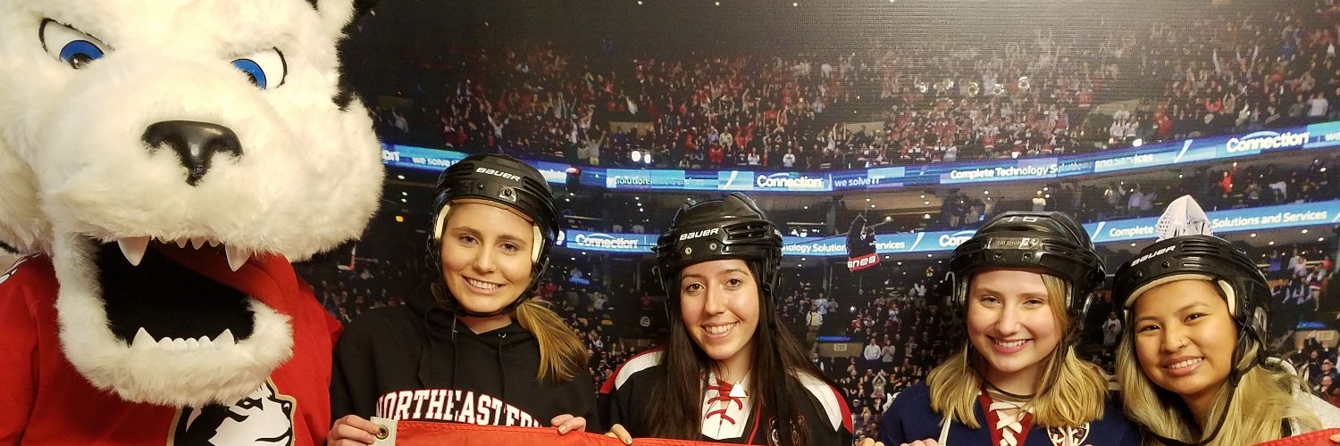 The N.U.in Program banner