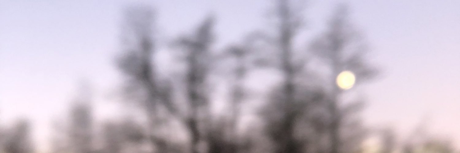 dairagmorel's profile banner image