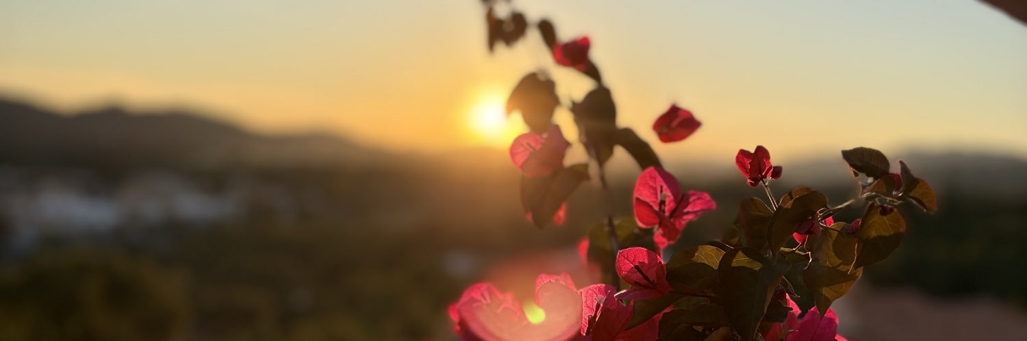 ickekevin's profile banner image
