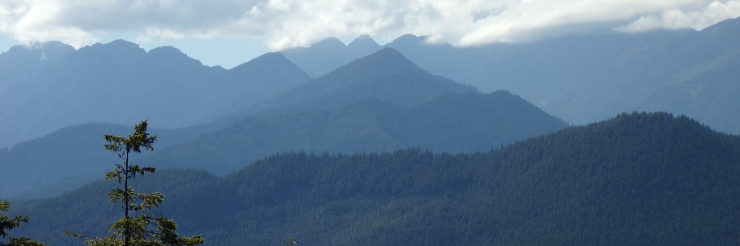 Kelly Redeker banner