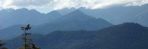 VolatilesRed Profile Banner