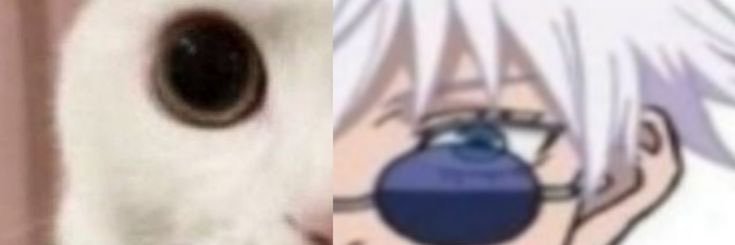 ୨ৎ banner