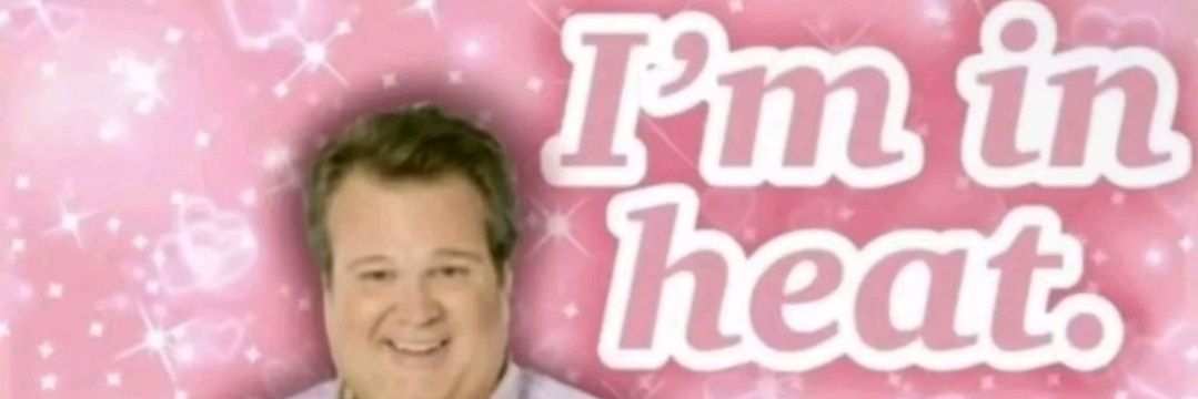 Gnarpy of Shedtwt banner