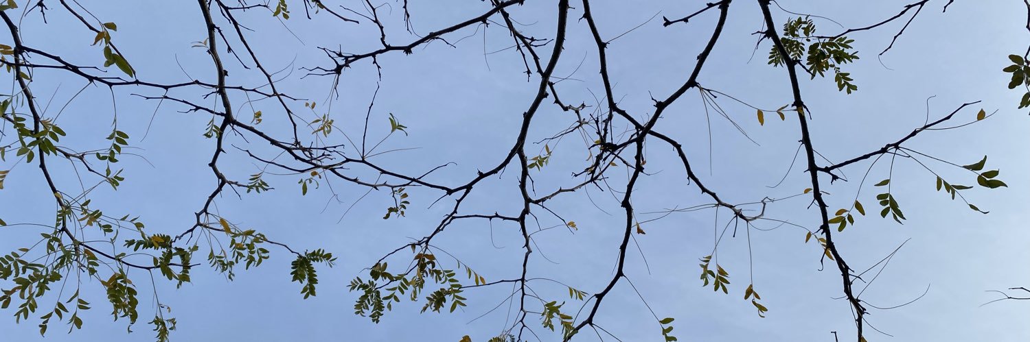 parkedoutexe's profile banner image