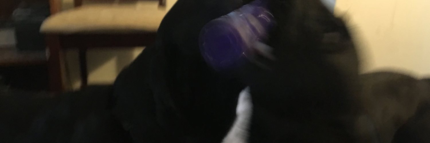 Anthony Corona banner