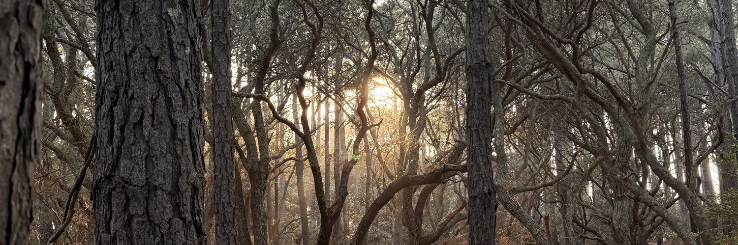 Sean McLellan banner