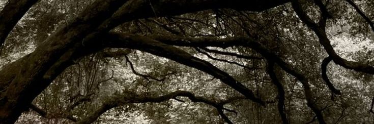 R0adkill444's profile banner image