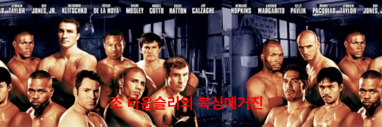 순정충 7디페(일) C2b's banner