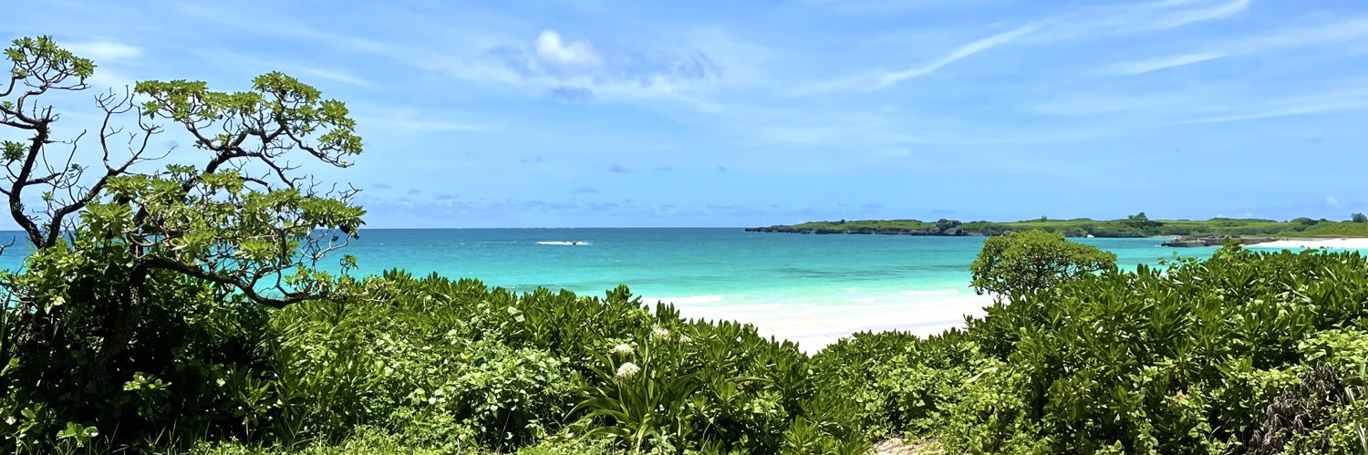 もりたま/ayammin banner