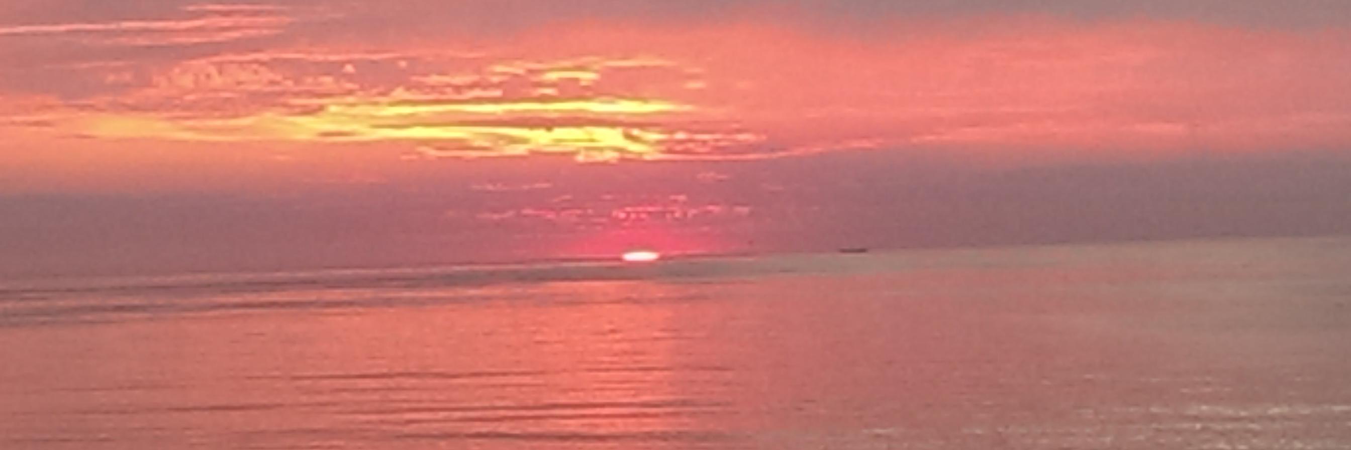 Peter de Kock banner