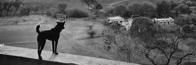 sklaman's profile banner image