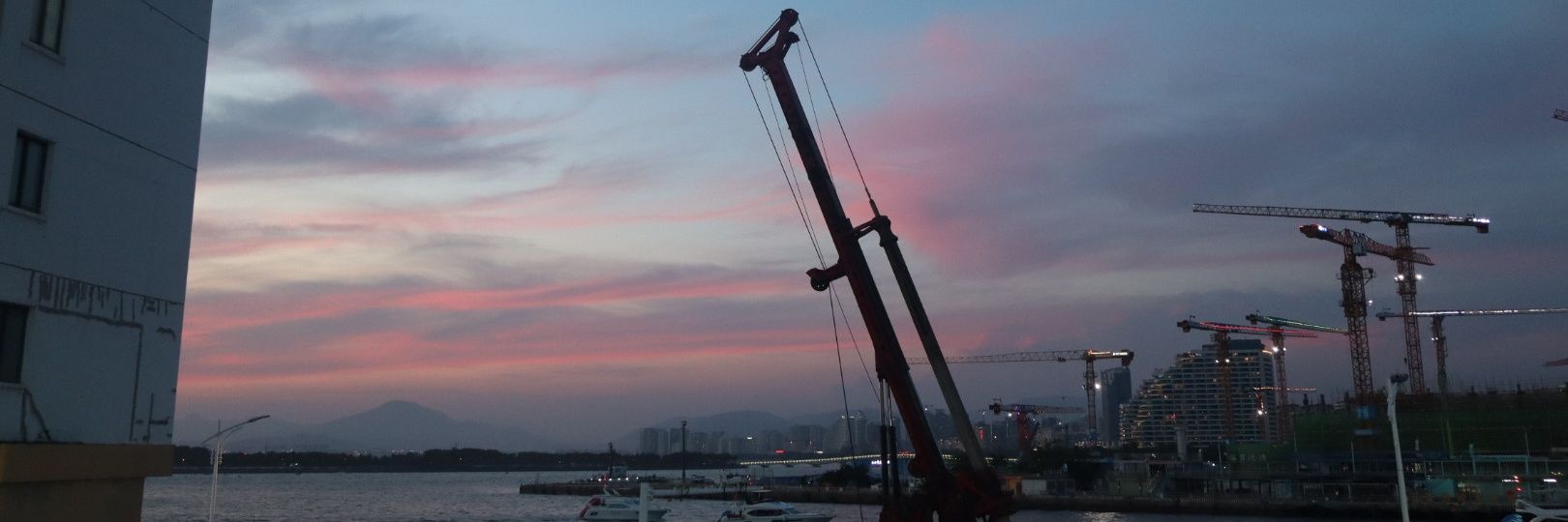 鱿鱼 banner