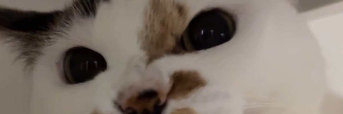 sa2ma1mo___'s profile banner image