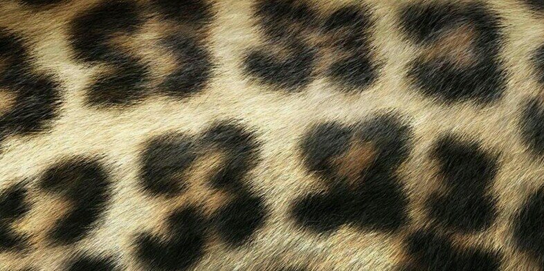 belenromerito's profile banner image