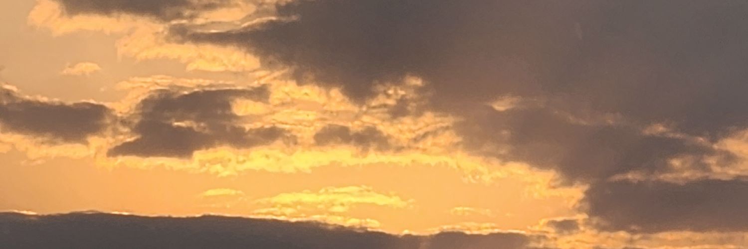 tjthomsen's profile banner image