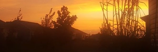 chericson Profile Banner