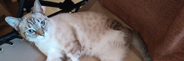 jrlgs Profile Banner