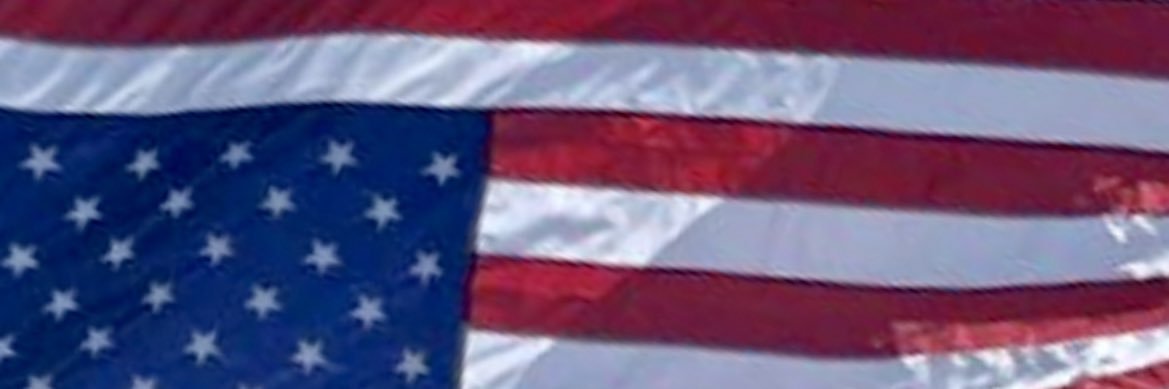 elle4freedom's profile banner image