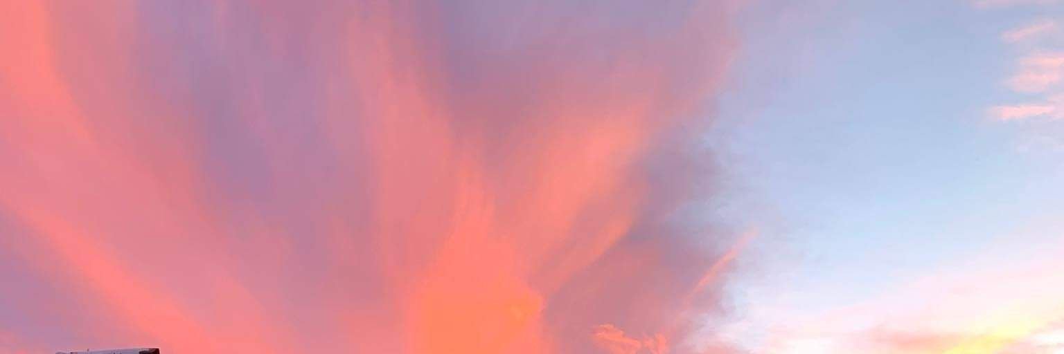 carmenrosaaa's profile banner image
