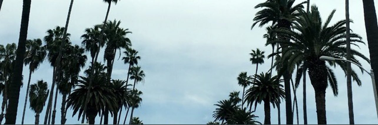 bo_fehan's profile banner image