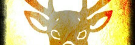 peenerbso's profile banner image