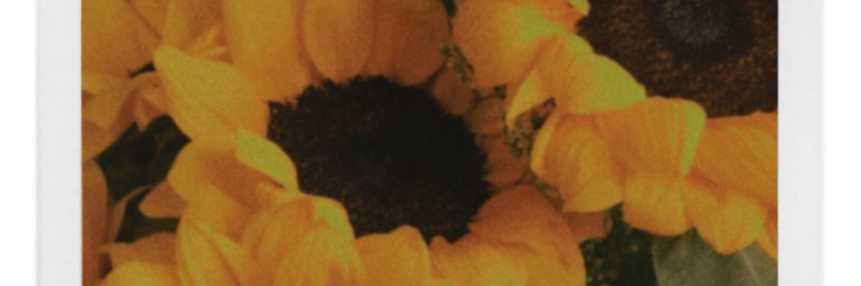 ‘ banner