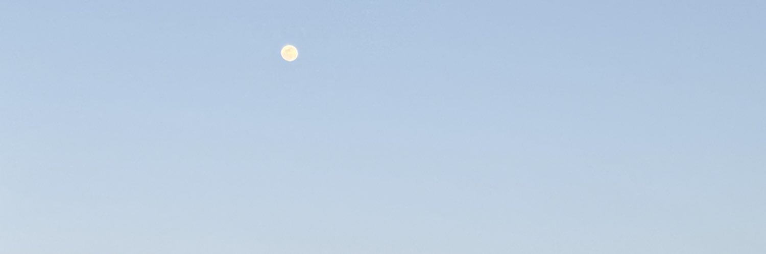 Soel. banner