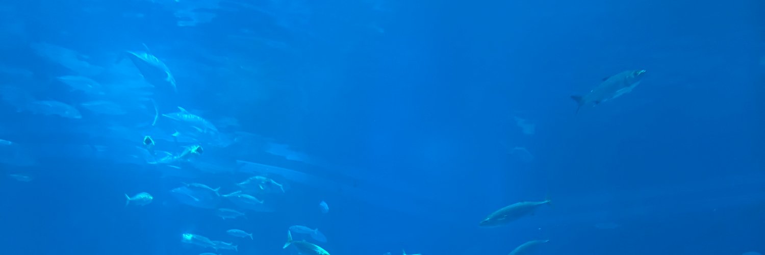 大橋隆昌【公式】's banner
