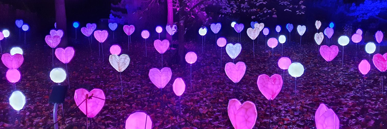 Lindsay Whyte banner