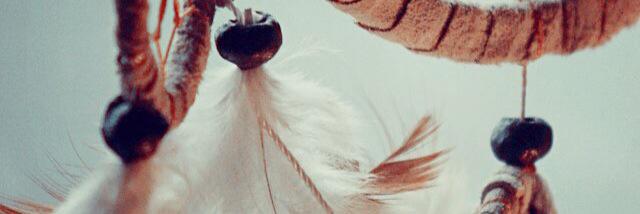 fenifebb's profile banner image
