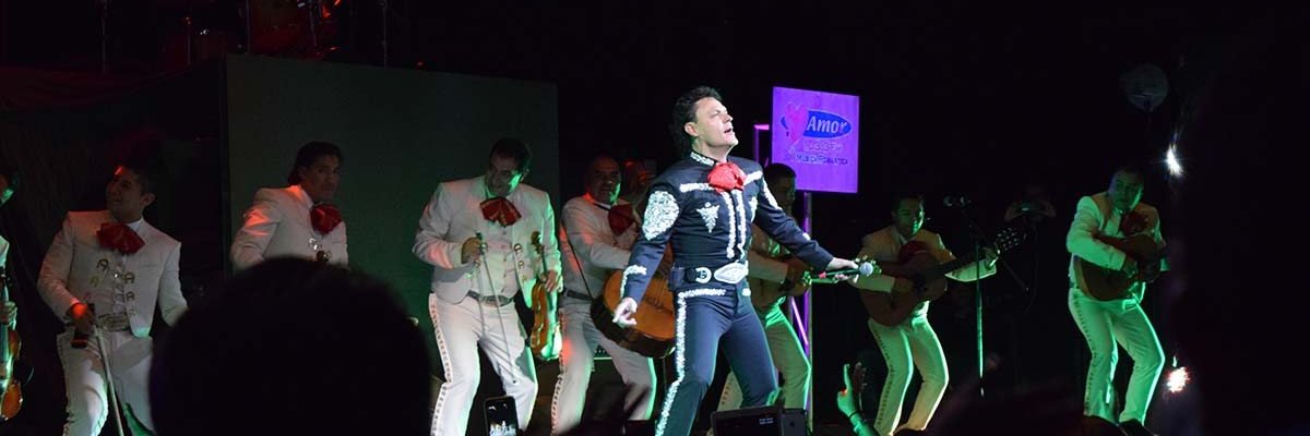 Minerva González banner