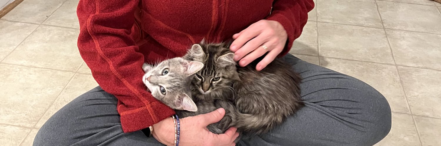 CornRan 🌊💙 banner