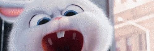 esusguplad's profile banner image