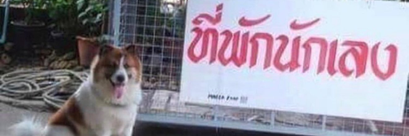 souwabi's profile banner image