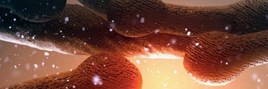 traviswaack's profile banner image