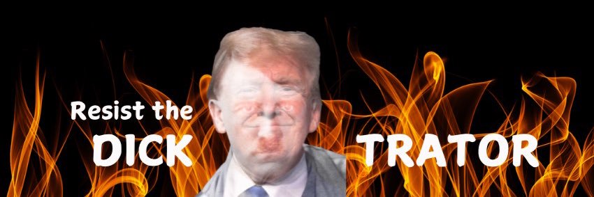 NeverOurPOTUS's profile banner image