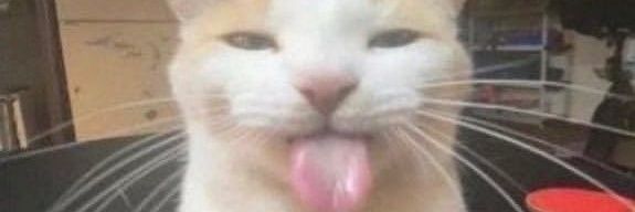 🧇waffle~ banner