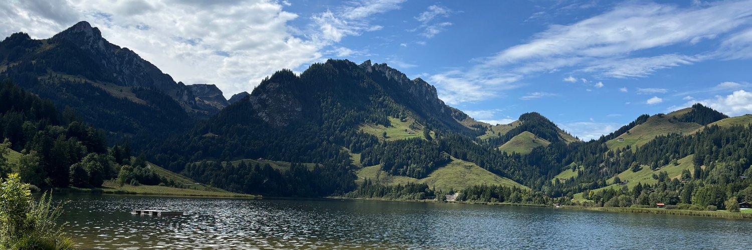 Christian Studer banner